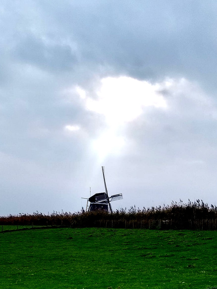 Foto Molen in het licht